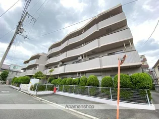 シロハイヌ小阪の画像