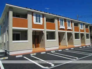 シルバーグラスEの画像