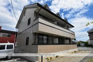 エヴァーグリーンの画像