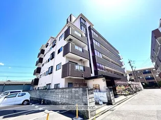 エストレラボアール7の画像