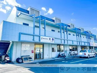 シティ森の画像