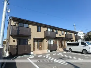 ピソ マロニエ Cの画像