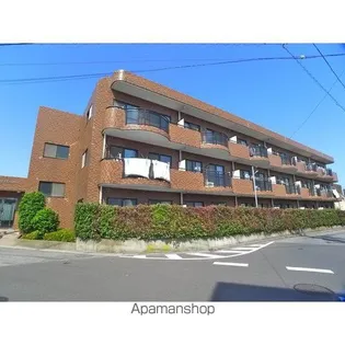 フォレスト ハサマの画像