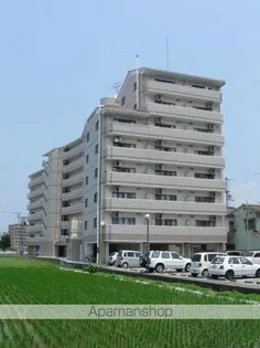 グランアルブル山越Ⅲ【4階】の外観