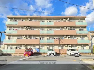 ルシール クルスの画像