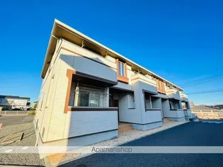 フェリースIIIの画像