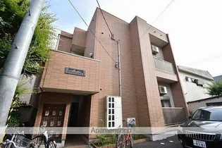 サザンパラダイスの画像