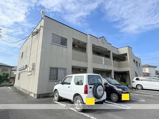 エバーラスティングバンズの画像