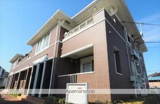 プラシードの画像