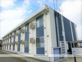 レオネクストイヴェールの画像