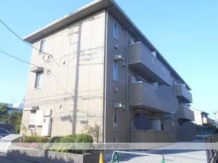 オリーブの画像