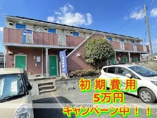 アミィ花園の画像