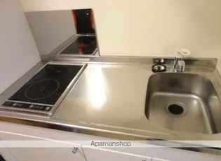 レオネクスト桜【205号室】のキッチン