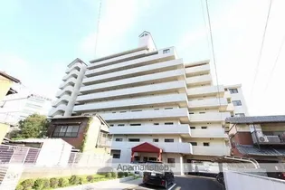 マリオンスーイングの画像