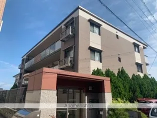 ステラリーバの画像