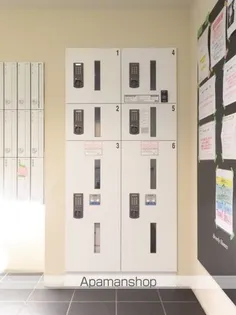 BEVERLY HOMES 下赤塚【3階】のその他画像