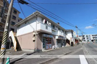 カシータ藤の画像