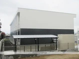 レオネクストジュネスピューパⅢの画像