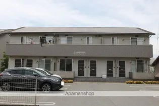 フェリスの画像