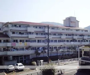コティ横木の画像