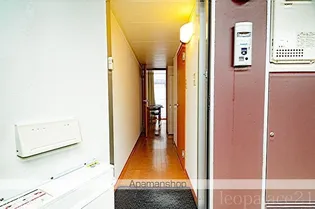 レオパレスRESIDENCEⅡ【2階】の玄関