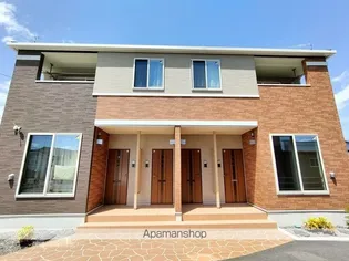 アガパンサスの画像