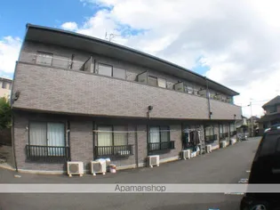 アムール山崎の画像