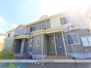 セントポーリア くすみ Bの画像