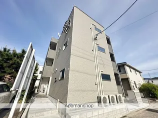 TIDY大江の画像