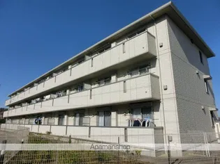 アールグレイ Aの画像