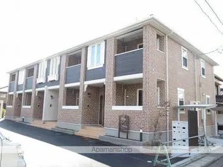 シャイニーの画像