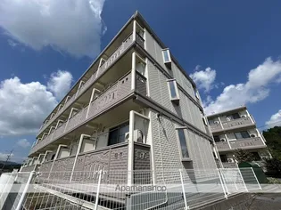 エクタスSの画像