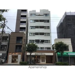 グリーンシャンクの画像
