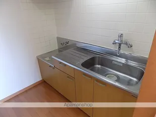 フォンテーヌ峯【502号室】のキッチン