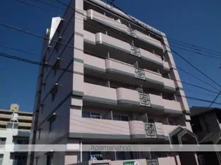 エレガンス11【4階】の外観