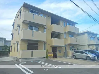 カポックの画像