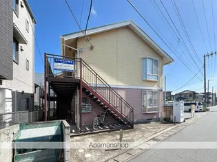 WHITE WING E Fの画像