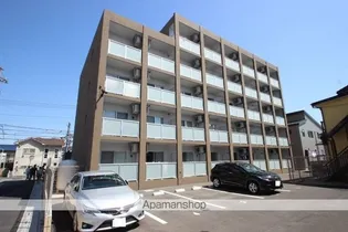 シエルの画像