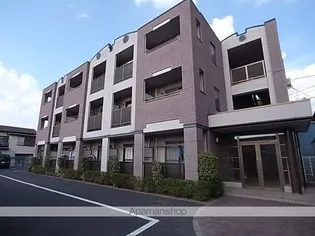 ジョリー柏の画像