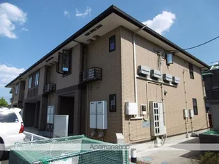 ファースト セフィオの画像