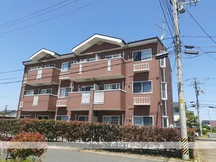 サンリットの画像