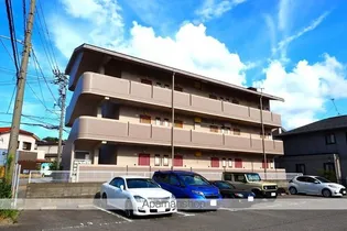 ユーミー若松の画像