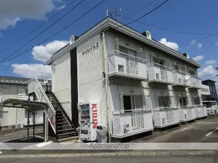 ル ソレイユIIの画像