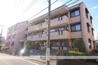 シルクトゥリーAの画像