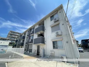 プリマヴェーラの画像