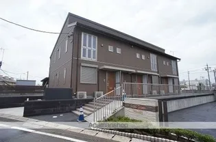 ロイヤルグリーンの画像