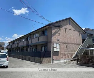 アムール西桂の画像