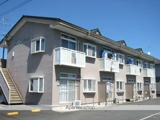 エルディム美里の画像