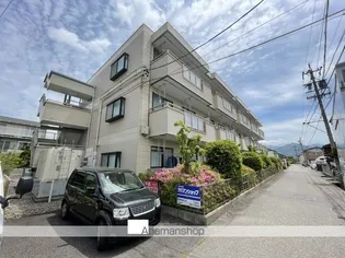 Y'S COURT 1の画像