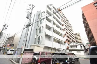 ドルフ TSの画像